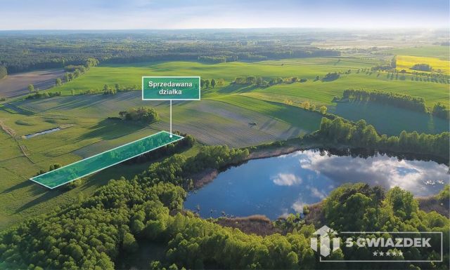 Działka budowlana Dziki. Zdjęcie 1