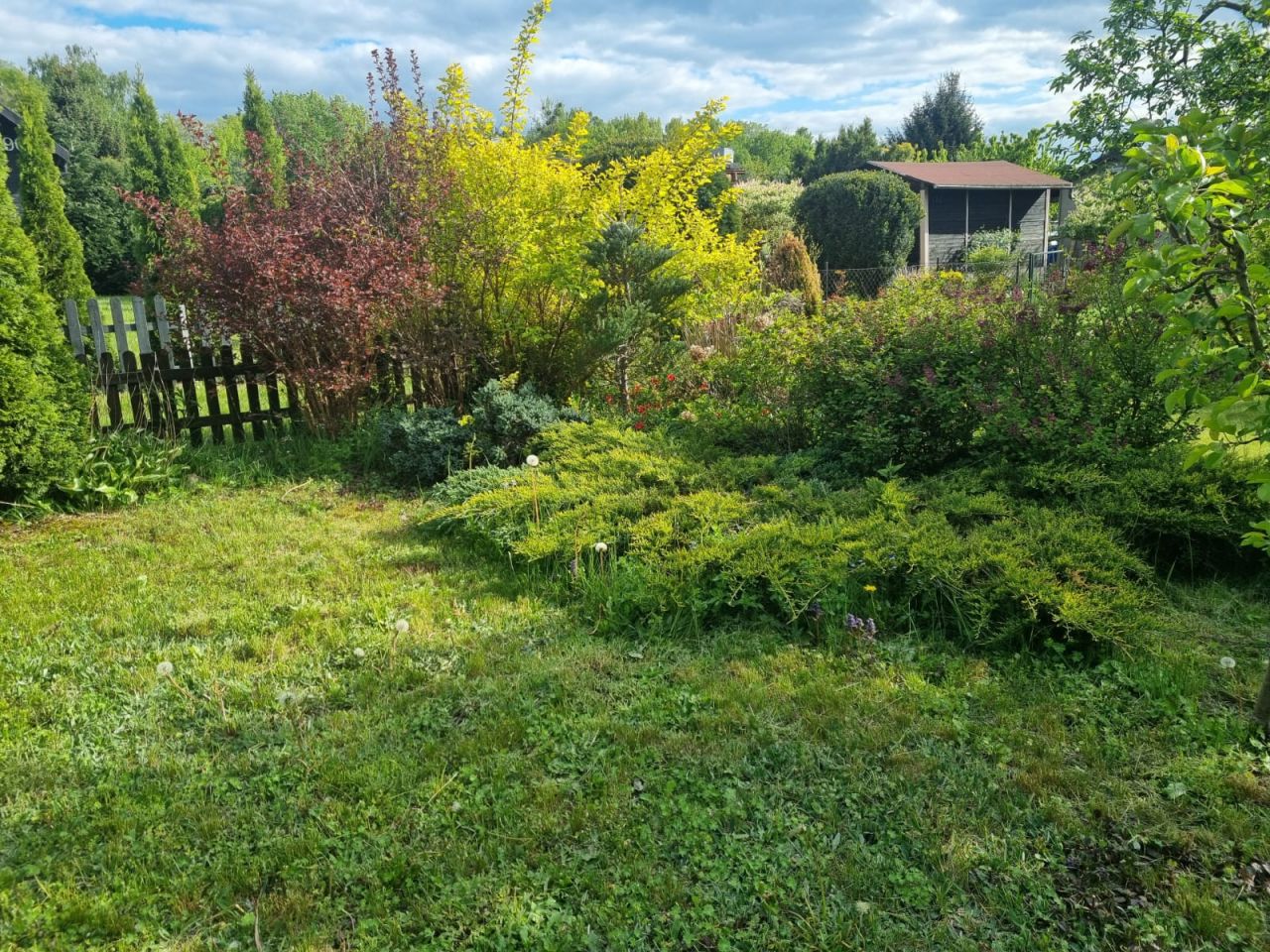 Działka rod Łódź Łagiewniki, ul. o. Leona Godlewskiego. Zdjęcie 6