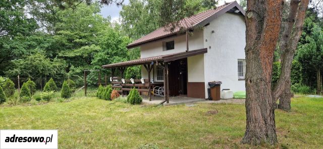 Działka rekreacyjna Łódź Widzew, ul. Przylesie. Zdjęcie 1