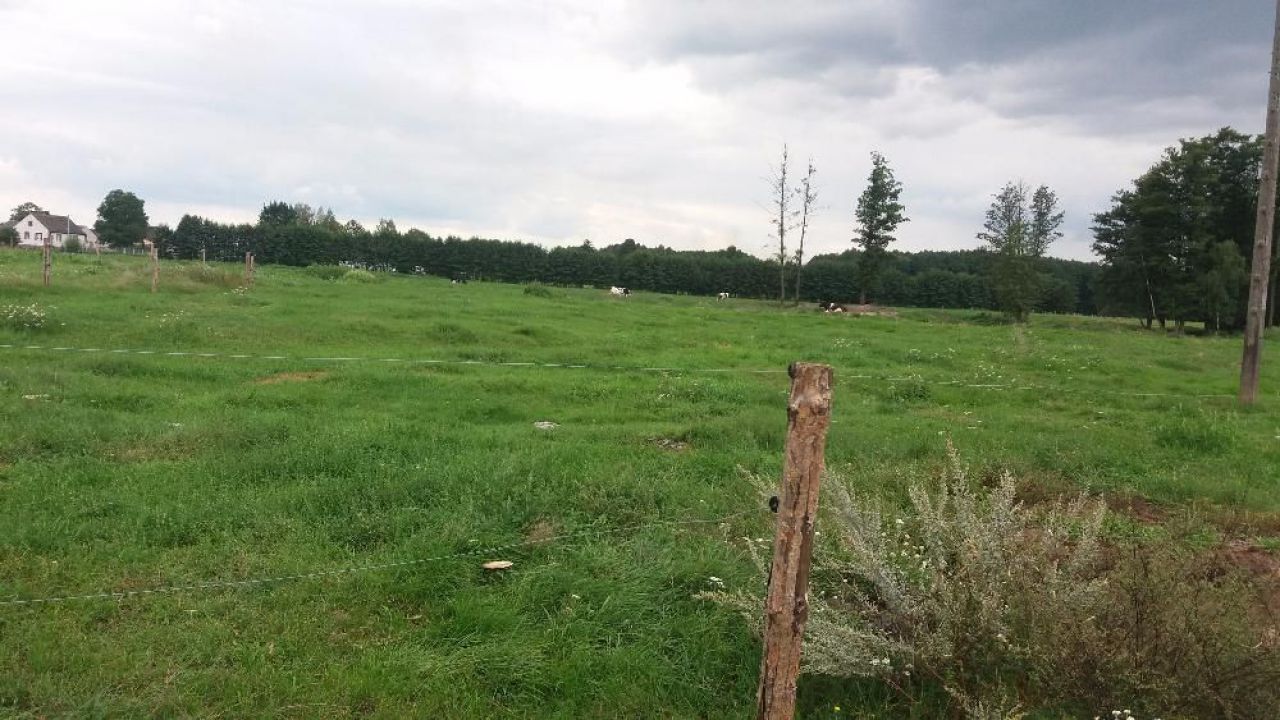 Działka rolno-budowlana Szymany. Zdjęcie 3