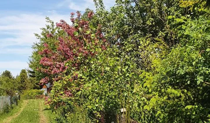 Działka rod Gdańsk Osowa