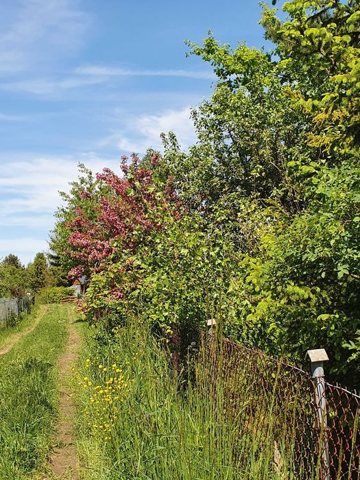 Działka rod Gdańsk Osowa