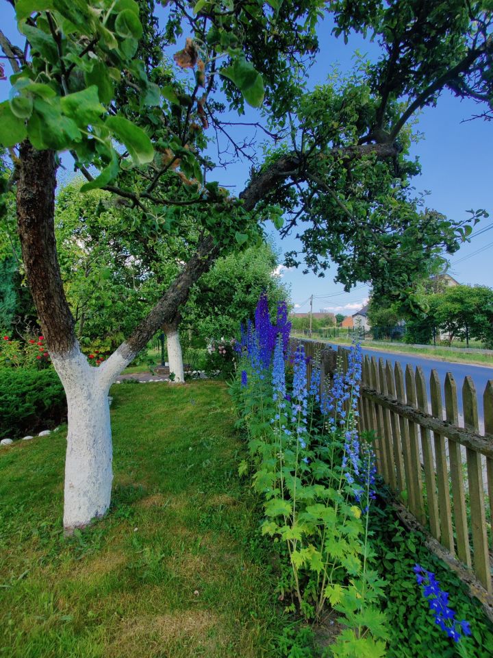 dom wolnostojący, 6 pokoi Gościeszowice. Zdjęcie 32