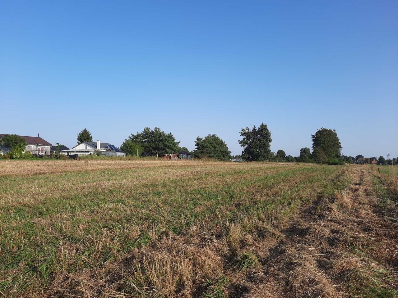 Działka budowlana Borowa. Zdjęcie 6