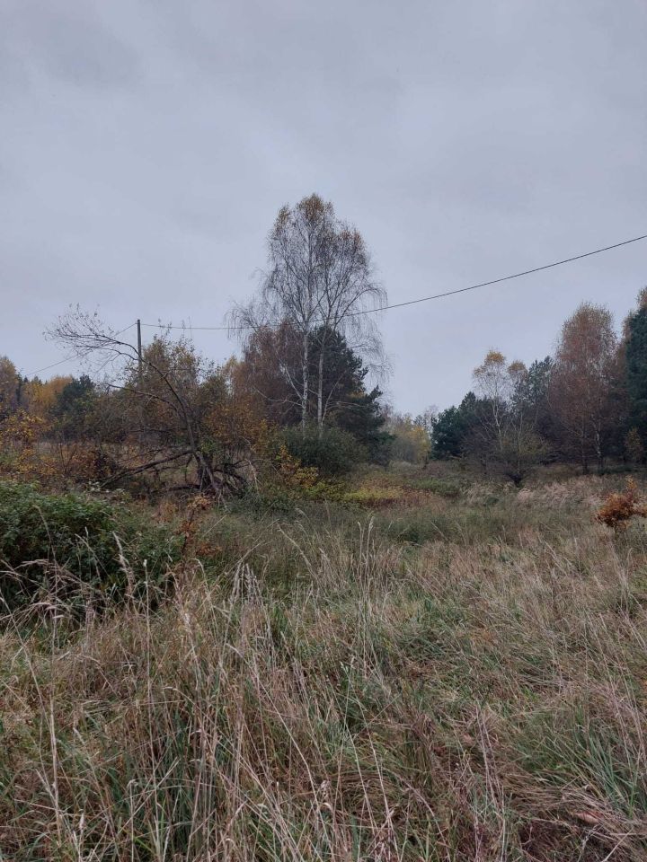 Działka rolna Wiewiecko. Zdjęcie 2