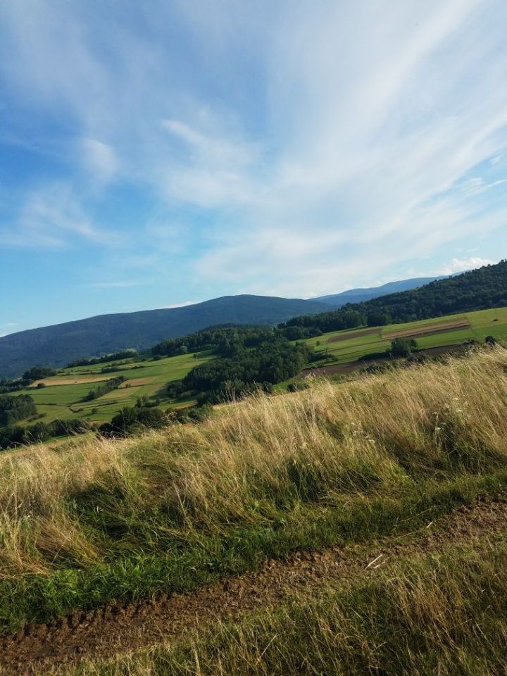 Działka Wilkowisko. Zdjęcie 3