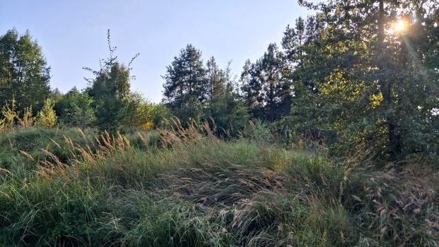 Działka rekreacyjna Kręsk, ul. Zofii. Zdjęcie 13