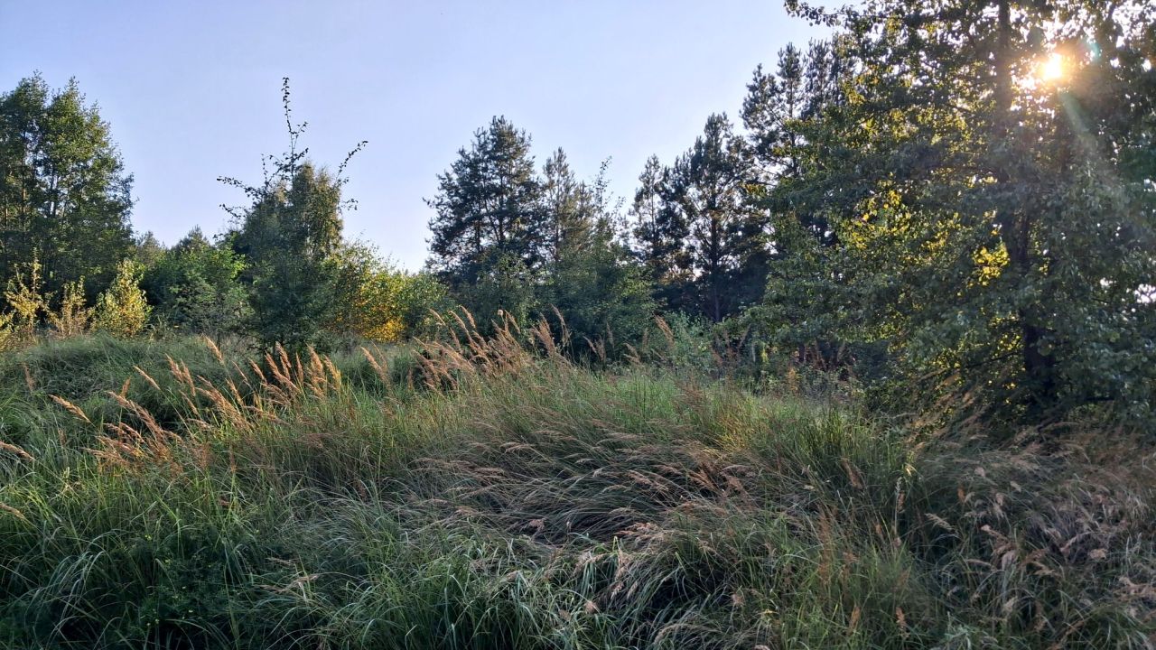 Działka rekreacyjna Kręsk, ul. Zofii. Zdjęcie 13