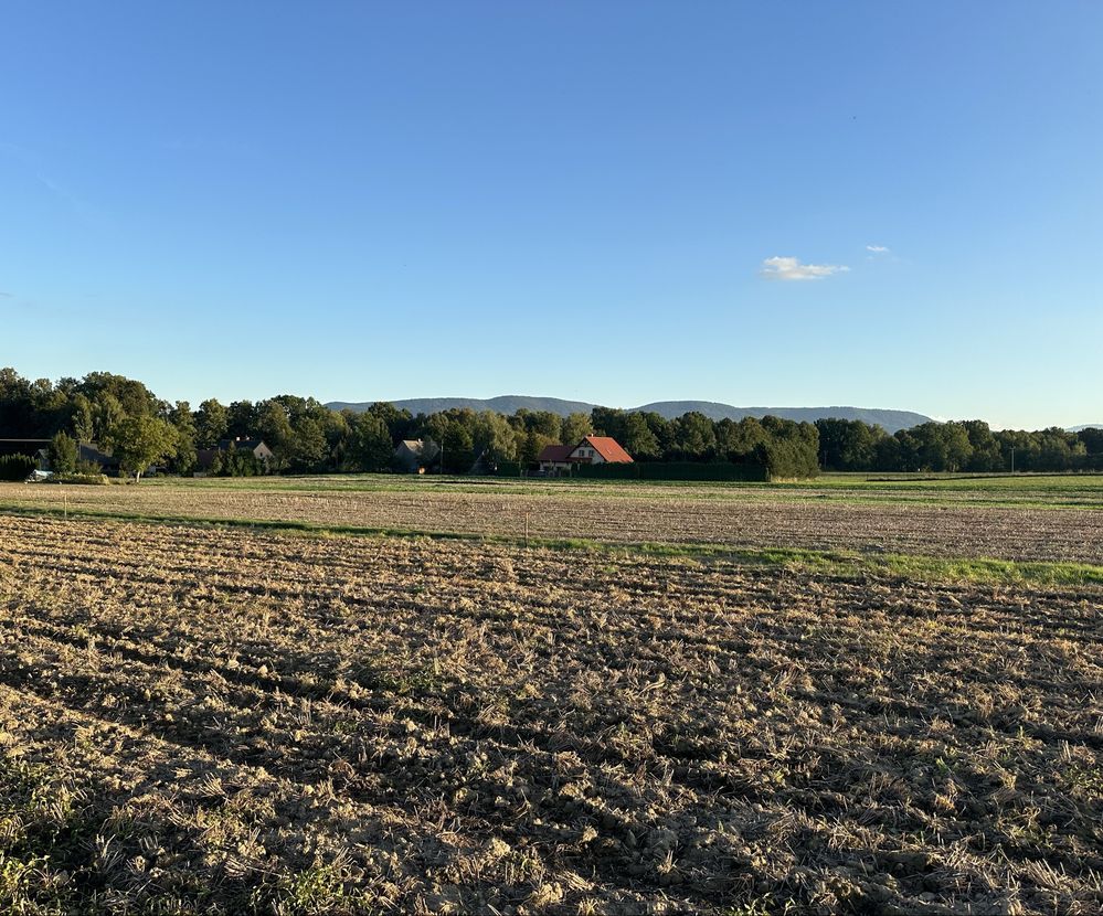 Działka budowlana Pisarzowice. Zdjęcie 5