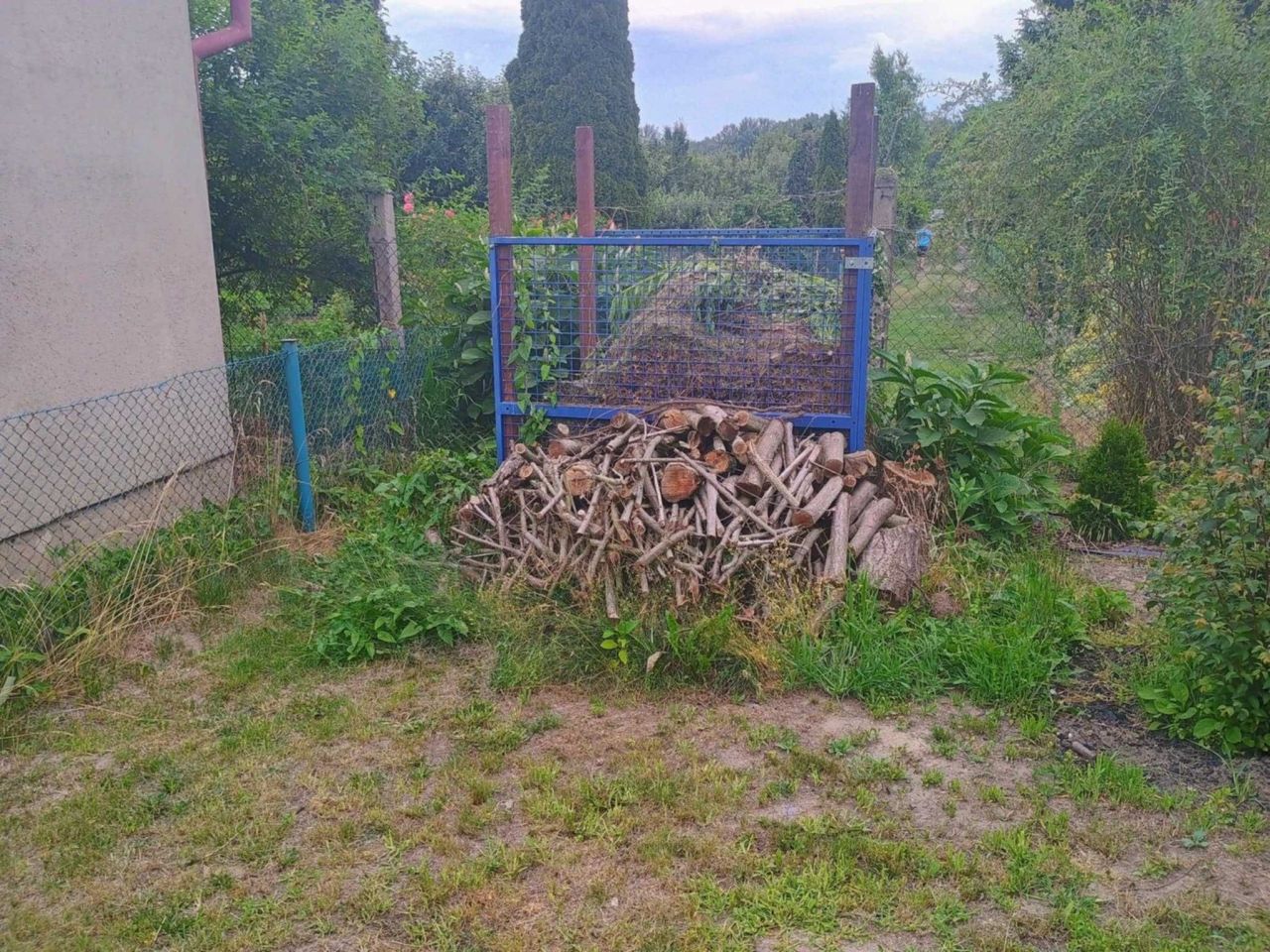 Działka rod Toruń, ul. Stanisława Przybyszewskiego. Zdjęcie 7