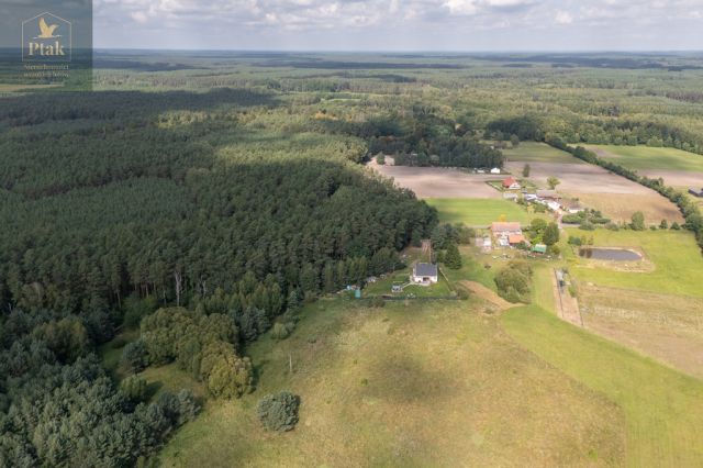 Działka rolna Obrzycko. Zdjęcie 7