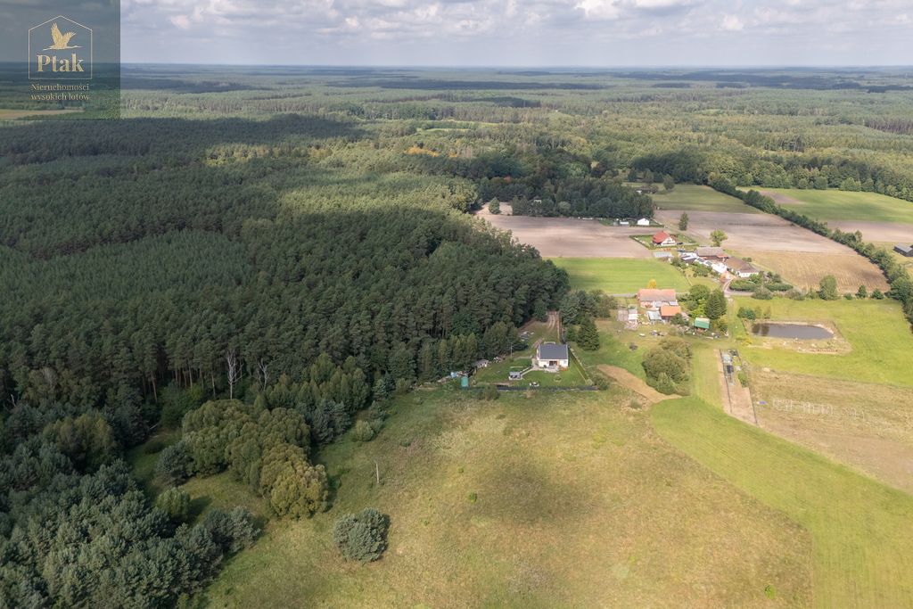 Działka rolna Obrzycko. Zdjęcie 7