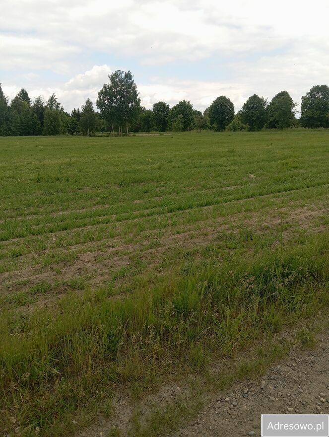 Działka siedliskowa Krzucz. Zdjęcie 11