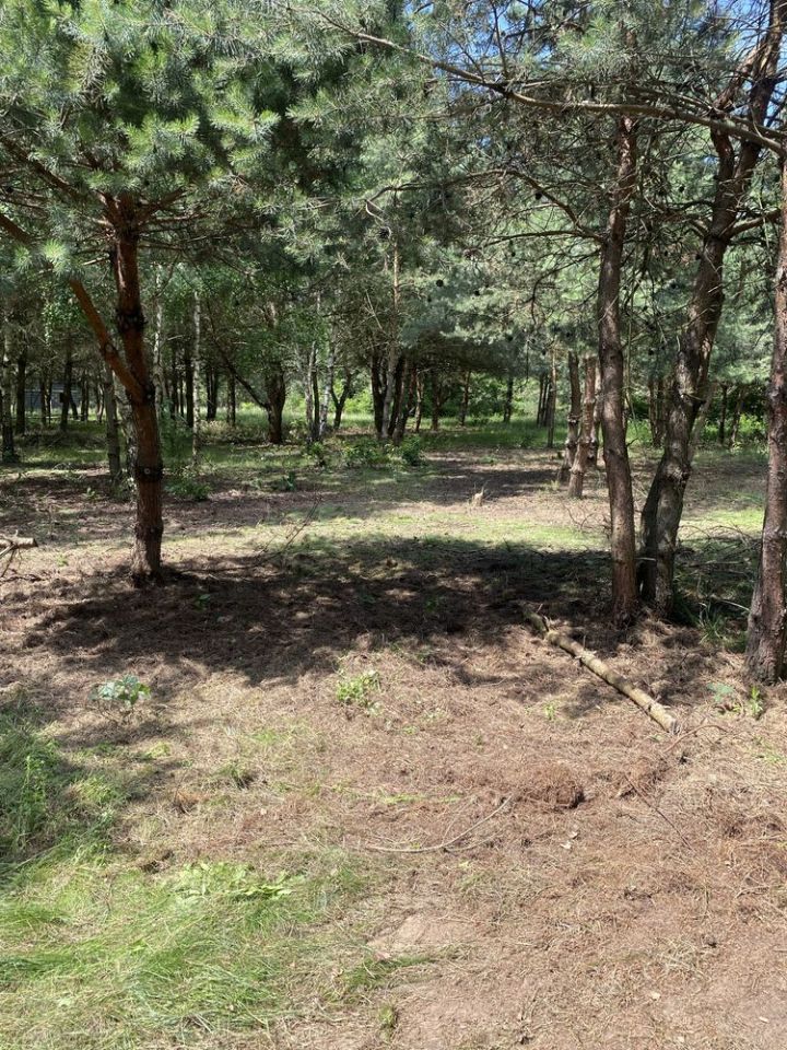 Działka Księża Wólka. Zdjęcie 3