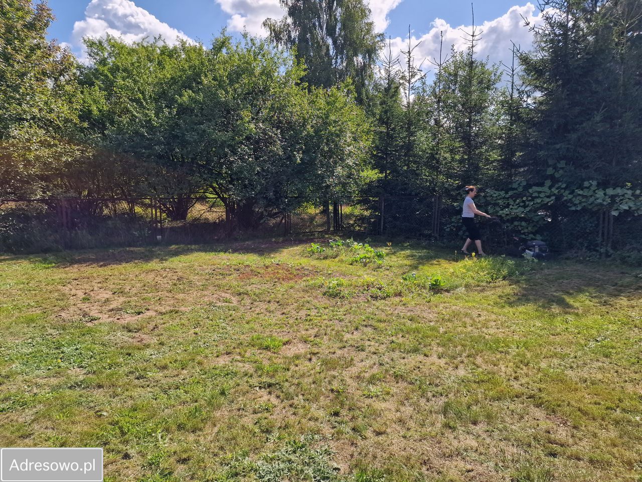 Działka rolno-budowlana Sadek. Zdjęcie 6