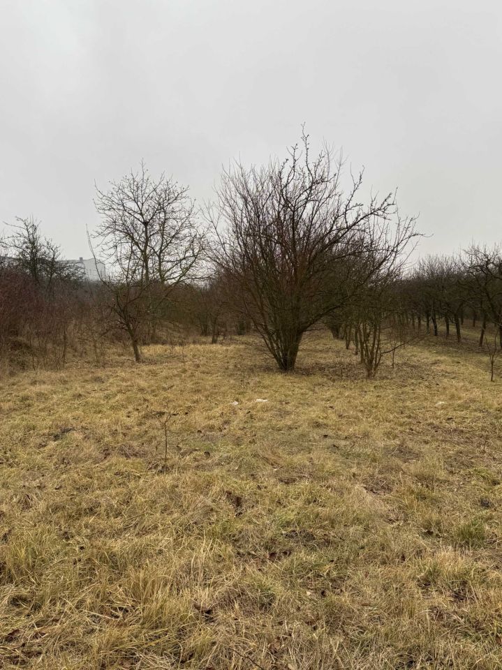 Działka rolna Busko-Zdrój. Zdjęcie 4