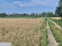 Działka rolna Kępa Nadbrzeska. Zdjęcie 3