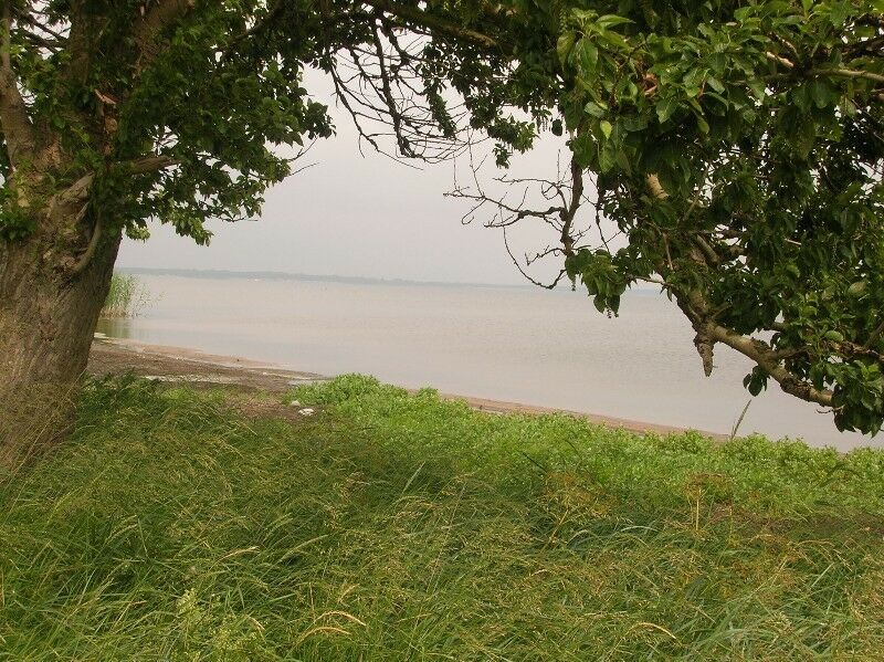 Działka rolno-budowlana Swarzewo, ul. Rybacka. Zdjęcie 7