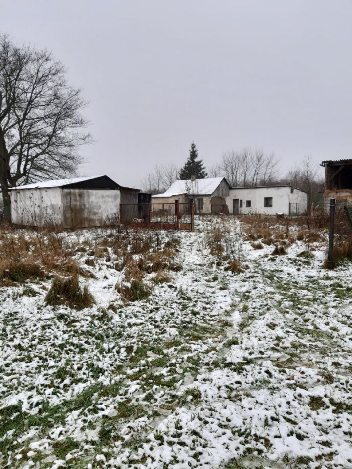 Działka budowlana Palmiry, ul. Miła. Zdjęcie 3