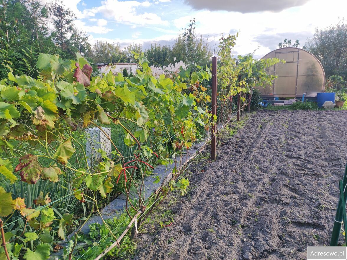 Działka rod Warszawa Włochy, ul. Paluch. Zdjęcie 4