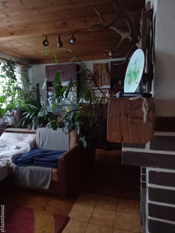 dom wolnostojący, 1 pokój Janiszowice. Zdjęcie 6