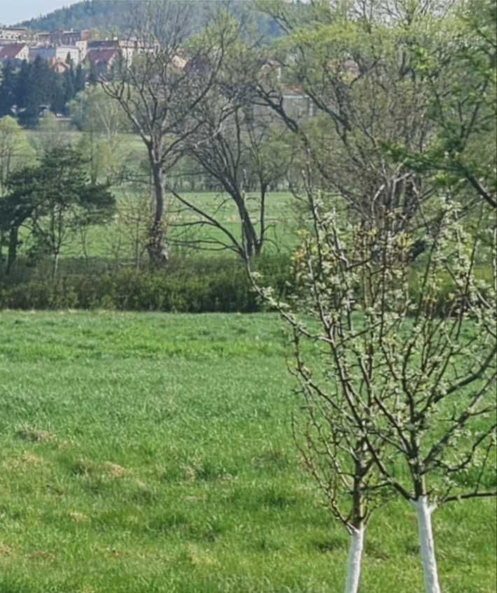 Działka budowlana Boguszów-Gorce