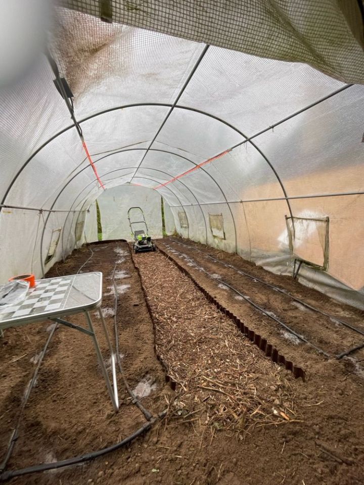 Działka rod Złotkowo, ul. Żytnia. Zdjęcie 2