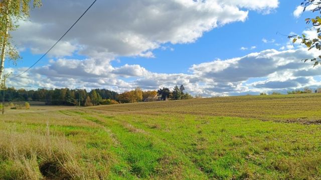 Działka rolna Błotnia. Zdjęcie 1