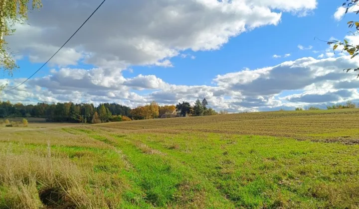 Działka rolna Błotnia