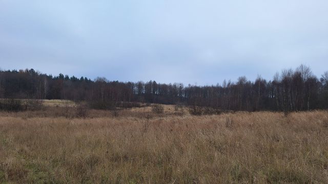 Działka rolna Mariankowo. Zdjęcie 4