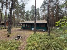 Działka leśna Przybynów. Zdjęcie 3
