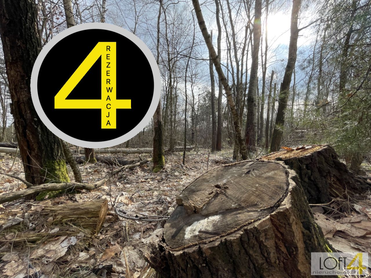 Działka leśna Dołęga