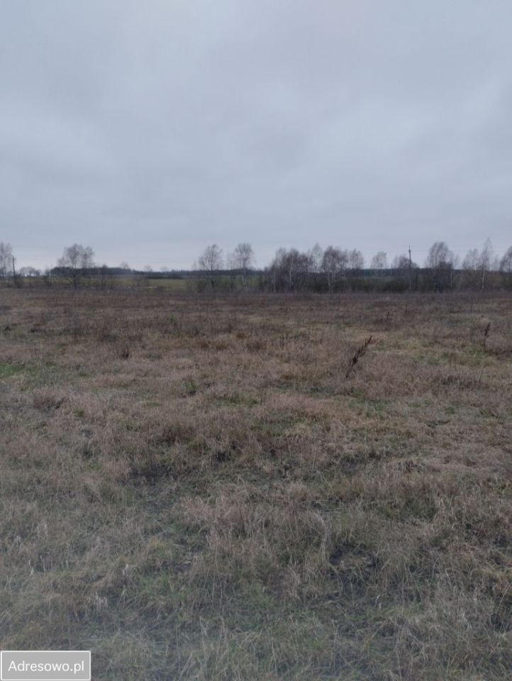 Działka budowlana Wysin. Zdjęcie 5