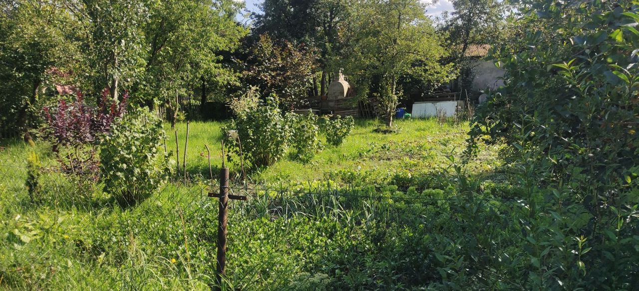 Działka rod Kielce. Zdjęcie 5