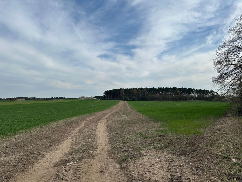 Działka budowlana Szydłowo. Zdjęcie 1