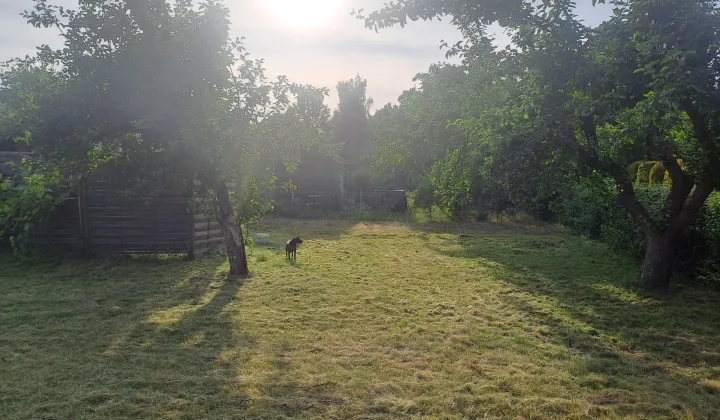 Działka rod Legnica Piekary Wielkie, ul. Koskowicka