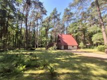 Działka rekreacyjna Sokolniki-Las, ul. Płocka. Zdjęcie 3