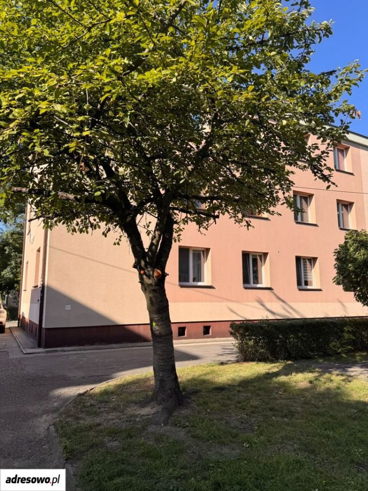 Mieszkanie 2-pokojowe Katowice Dąb, ul. Jasna. Zdjęcie 8