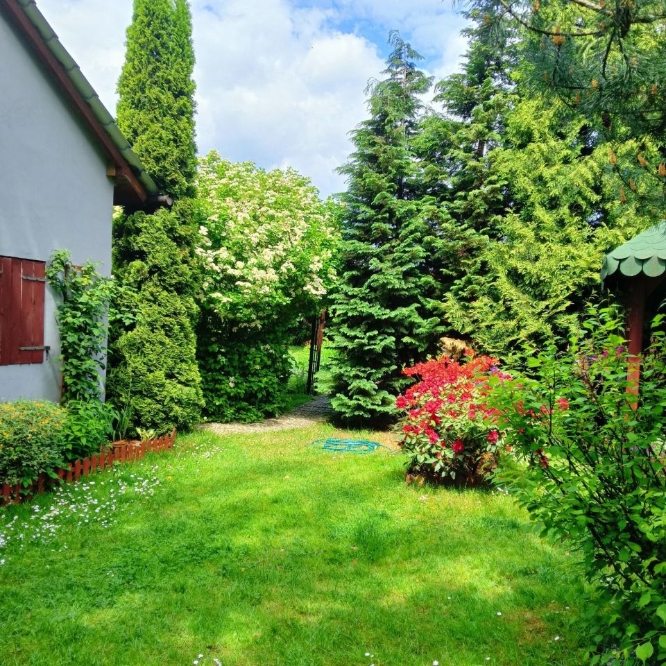 Działka rod Siemianowice Śląskie