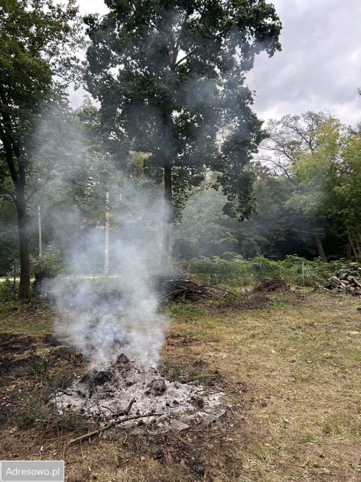 Działka budowlana Niecenia. Zdjęcie 10