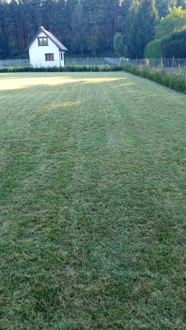 Działka rekreacyjna Bysław, Bysław. Zdjęcie 2