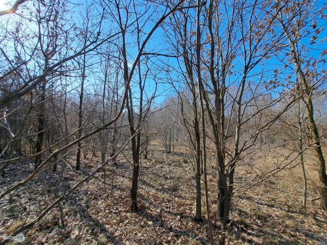 Działka budowlana Łagów. Zdjęcie 9