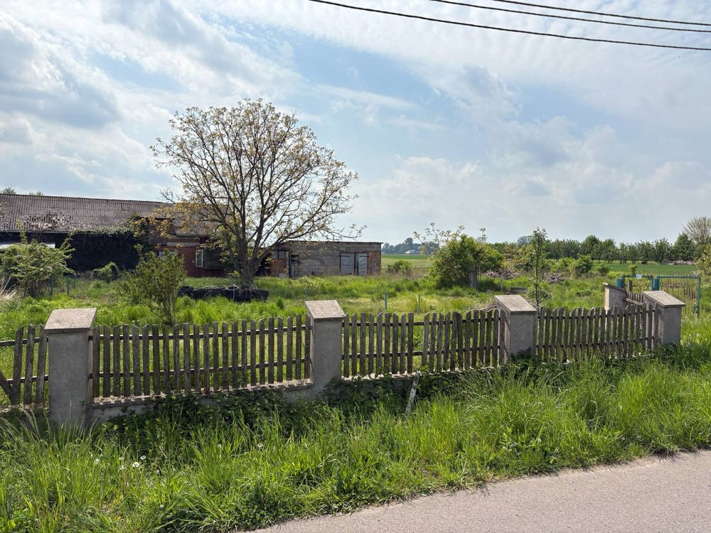 gospodarstwo Rząśno. Zdjęcie 3