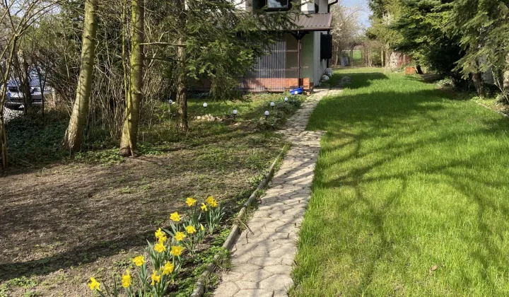 dom wolnostojący, 2 pokoje Poręba, ul. Wolności