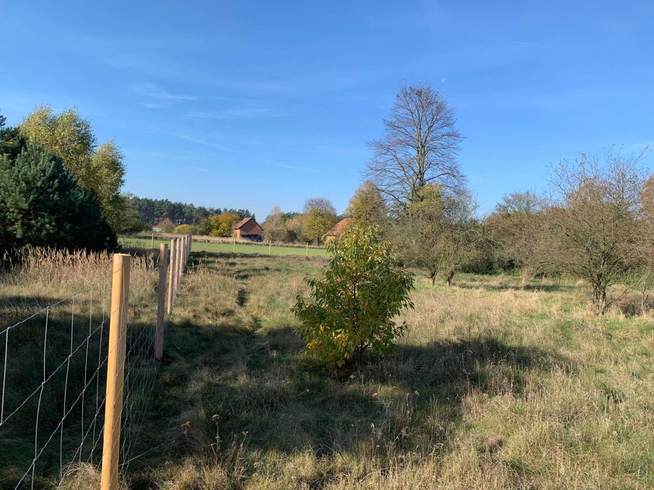 Działka budowlana Graby. Zdjęcie 4