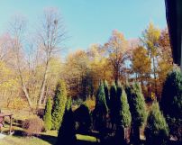 inny, 6 pokoi Przyszowice, Leśna. Zdjęcie 4