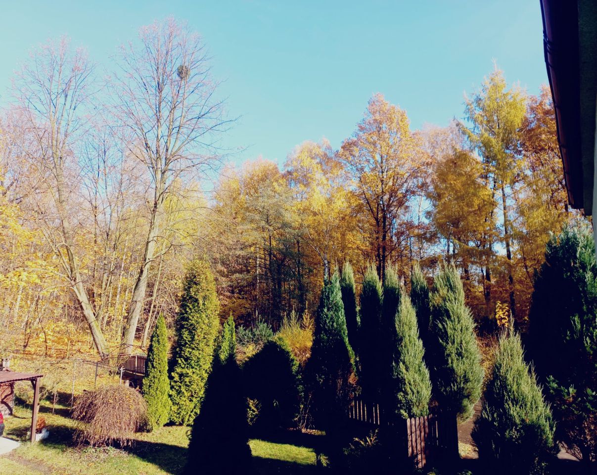 inny, 6 pokoi Przyszowice, Leśna. Zdjęcie 5