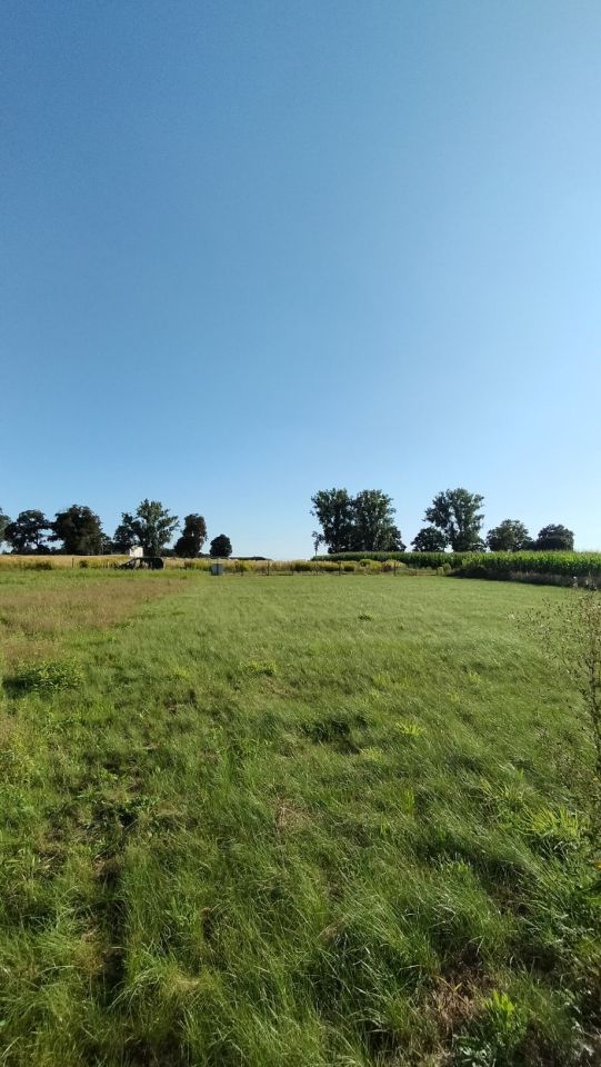 Działka budowlana Ziemiełowice. Zdjęcie 5