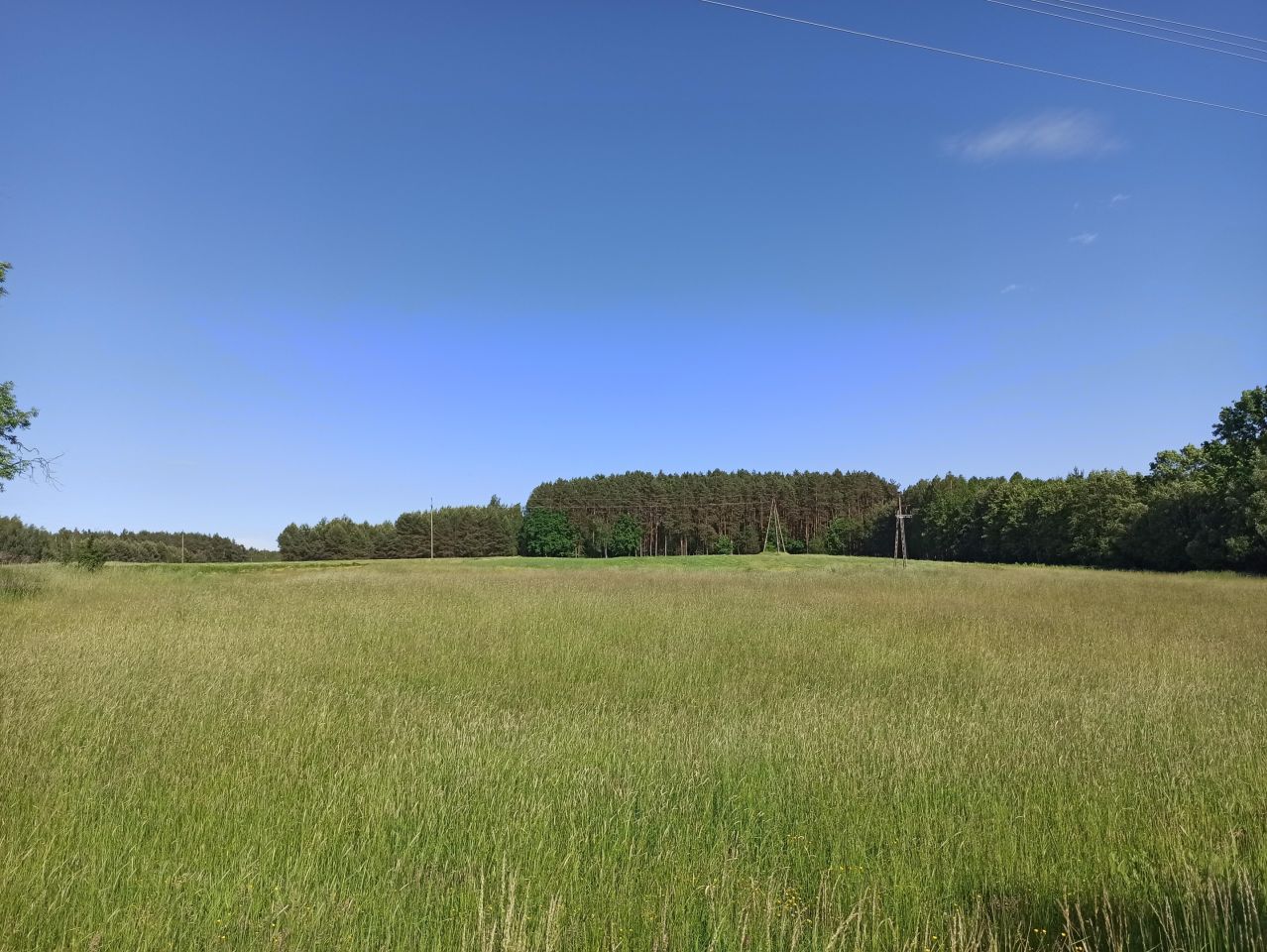 siedlisko, 3 pokoje Piaski. Zdjęcie 7