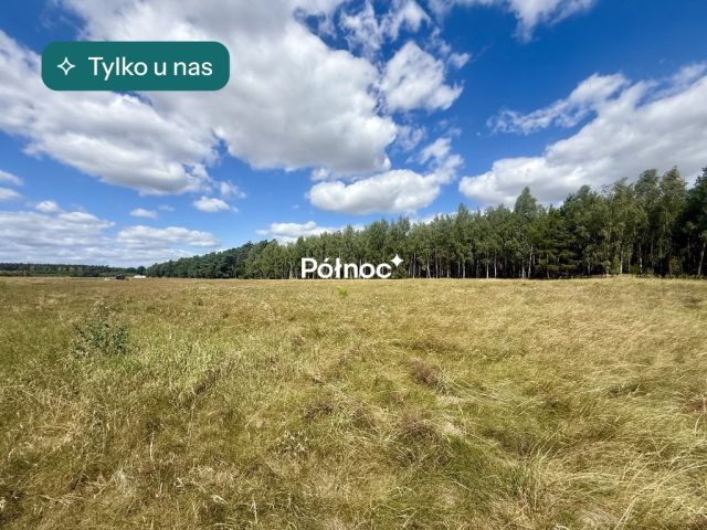 Działka budowlana Trzęsów. Zdjęcie 1